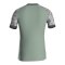 JAKO Iconic Trikot Grün F238 - gruen