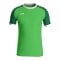 JAKO Iconic Trikot Kids Grün F222 - gruen
