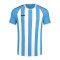 JAKO Inter Trikot Hellblau Weiss F432 - blau