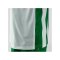 JAKO Inter Trikot Kids Weiss Grün F013 - weiss