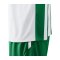 JAKO Inter Trikot langarm Weiss Grün F013 - weiss