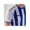 JAKO Inter Trikot Weiss Blau F012 - weiss