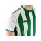 JAKO Inter Trikot Weiss Grün F013 - weiss