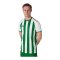 JAKO Inter Trikot Weiss Grün F013 - weiss