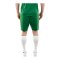 JAKO Manchester 2.0 Short Kids Grün F207 - gruen