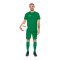 JAKO Manchester 2.0 Short ohne Innenslip Grün F06 - Gruen