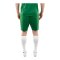 JAKO Manchster 2.0 Short Grün F207 - gruen