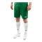 JAKO Manchster 2.0 Short Grün F207 - gruen