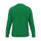 JAKO One Sweatshirt Grün F200 - gruen