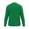 JAKO One Sweatshirt Kids Grün F200 - gruen