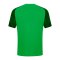 JAKO Performance T-Shirt Kids Grün Schwarz F221 - gruen