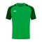 JAKO Performance T-Shirt Kids Grün Schwarz F221 - gruen