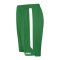 JAKO Power Short Kids Grün Weiss F200 - gruen