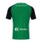 JAKO Preußen Münster Trikot Home 2026/2027 Grün F200 - gruen