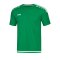 JAKO Striker 2.0 Trikot kurzarm Grün Weiss F06 - Gruen