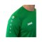 JAKO Team Trikot langarm Grün F06 - gruen
