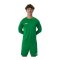 JAKO Team Trikot langarm Grün F06 - gruen