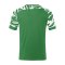 JAKO Wild Trikot Grün Weiss F202 - gruen
