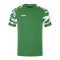 JAKO Wild Trikot Grün Weiss F202 - gruen