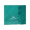 Jordan 5in Poolside Short Blau F392 - blau