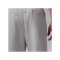 Jordan Sport Hoop Fleece Dri-FIT Jogginghose Grau - grau