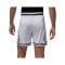 Jordan Sport Mesh Diamond Short Weiß F100 - weiss