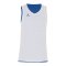 Jordan TM25 Basketball Stock Reversible Trikot Blau F463 - blau