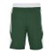 Jordan TM25 Basketball Stock Short Grün F341 - gruen