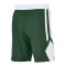 Jordan TM25 Basketball Stock Short Grün F341 - gruen