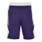 Jordan TM25 Basketball Stock Short Lila F547 - lila
