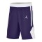 Jordan TM25 Basketball Stock Short Lila F547 - lila