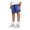 K1X BI Stockton Short Blau - blau