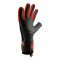 KEEPERsport Champ Elite NC Dominance Torwarthandschuhe Schwarz - schwarz