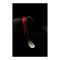 KEEPERsport Champ Prime NC Dominance Torwarthandschuhe Schwarz - schwarz