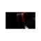 KEEPERsport Champ Prime NC Dominance Torwarthandschuhe Schwarz - schwarz