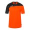 Kempa Athletics 29 Trikot Orange F81 - orange