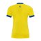 Kempa Player Trikot Damen Gelb Blau F06 - gelb