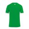 Kempa Player Trikot Grün Weiss F07 - gruen