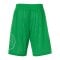 Kempa Reversible Shorts Grün Weiss F07 - gruen