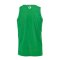 Kempa Reversible Tank Top Grün Weiss F07 - gruen