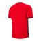 Macron Albanien Trikot Home 2025 Rot - rot