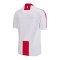 Macron Georgien Trikot Home EM 2024 Kids Weiss - weiss