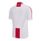 Macron Georgien Trikot Home EM 2024 Weiss - weiss