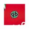 Macron Hannover 96 Authentic Trikot Home 2026/2027 Rot - rot