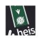 Macron Hannover 96 Trikot Away 2025/2026 Grün - gruen