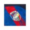 Macron Viktoria Pilsen Trikot Home 2026/2027 Rot - rot