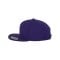 Merch Classic Snapback Cap Purple Green - rosa
