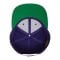 Merch Classic Snapback Cap Purple Green - rosa