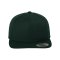 Merch Classic Snapback Cap Black Green - schwarz