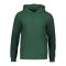 Merch Drummer 2.0 Hoody Bottle Green FC224 - gruen